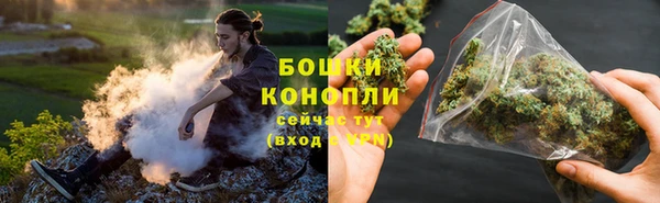 индика Лагань