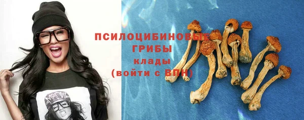 mdpv Ладушкин