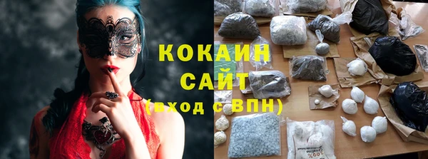 индика Лагань