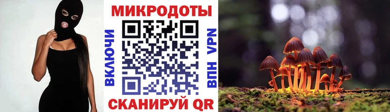 Псилоцибиновые грибы Cubensis Чёрмоз